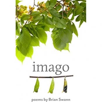 Swann, Brian: Imago