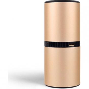 Negative Ion Air Purifier for Car and Home Allergies, Pet Dander, Smoke, Dust, Mold & Pollen