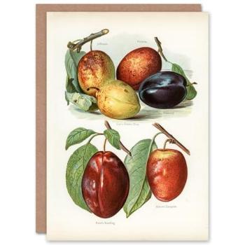 Vintage John Wright Plum Art Card – White Edition