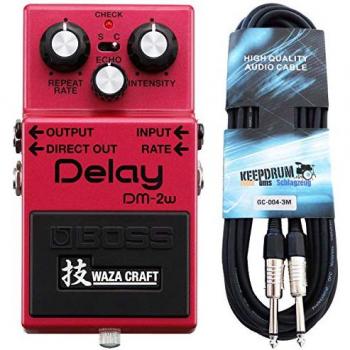 Boss DM-2w Delay Waza Edition mit Kabel, Effektpedal