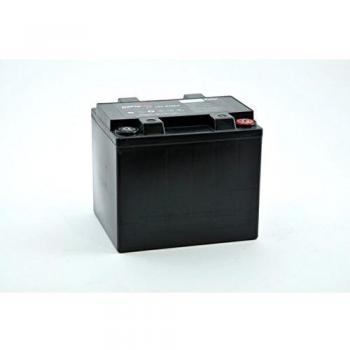 Enersys Batería de plomo ácido, 12V 42Ah, Plomo puro, terminales M6