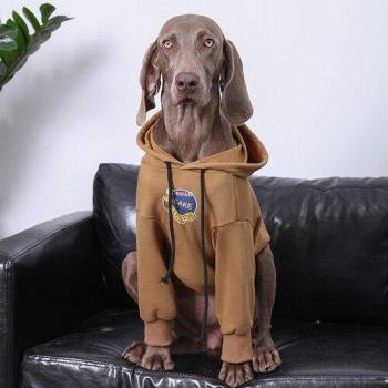 Chic Winter Dogwear