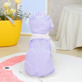 Ropa de Primavera para Mascotas