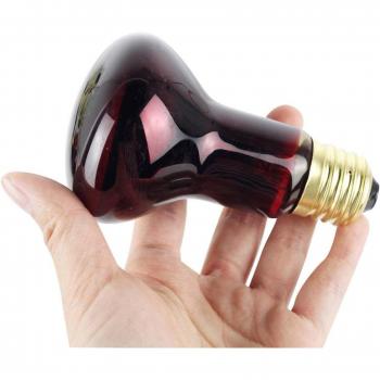 Calefactor Lámpara D60 R63
