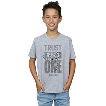 Trust One Gremlin Boy T‑Shirt, Grey (5-6)