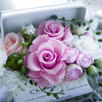 Magni Rose‑Servietten 20 Stück – 33 x 33 cm