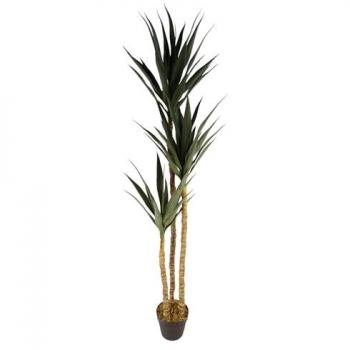 XXL Yukka Botanik - 170cm Realistic Spiky Tree