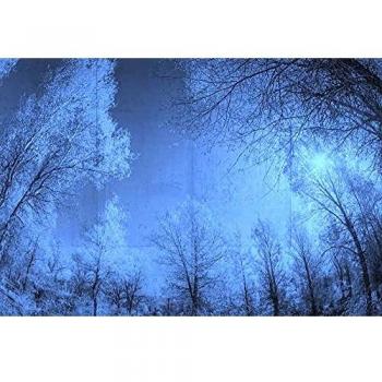 Architects Paper Fototapete »Atelier 47 Forest Glade 1«