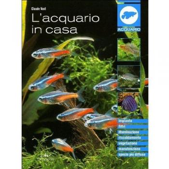 L' acquario in casa