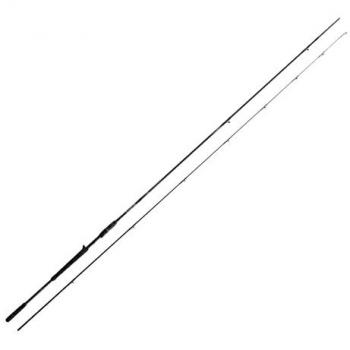 Caña Baitcasting Abu Garcia Eon 1.98m Light-Plus 102g