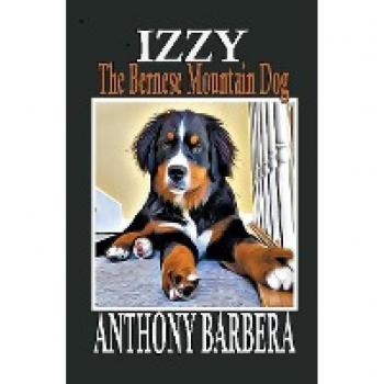 Izzy the Bernese Mountain Dog