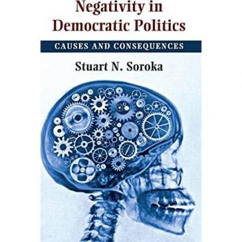 Negativity in Democratic Politics