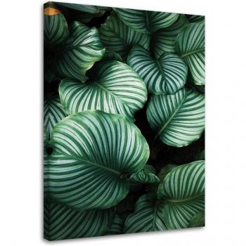 Pintura de Hojas Verdes 40x60 Lienzo