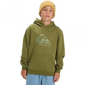 Felpa Spazzolata Quiksilver Loden Verde