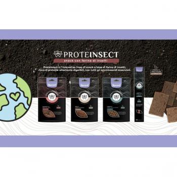 Record ProteInsect snack con farina d'insetti - Stick di tarme della farina