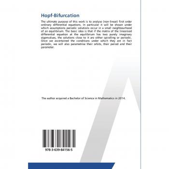 Merkt, Simon: Hopf-Bifurcation