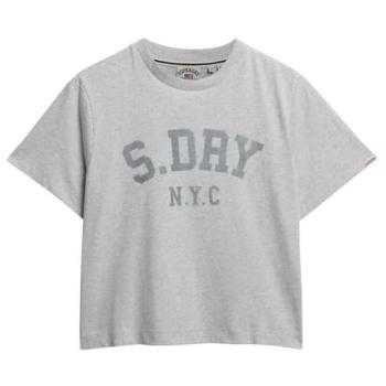 Superdry Athletic Essentials 2XS Grey T-Shirt