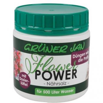 BURI Pflanzendünger Flower Power Nährsalz 500g Mineraldünger Blumendünger