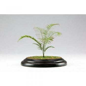 Areca Palm Pflegepaket – Platz Scale Serie, Modell PHK12‑01