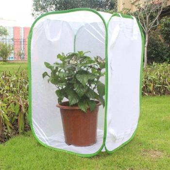 Kit Educativo de Mariposas e Insectos con Jaula Plegable S7