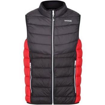 Regatta Harrock II Weste für Herren (Asche/Schwarz) Grau L