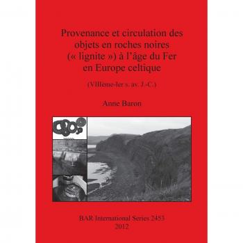Provenance et circulation des objets en roches noires ( lignite ) à l'âge du Fer en Europe celtique: (VIIIème-Ier s. av. J.-C.) (BAR International)