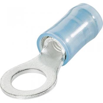 Capocorda ad anello blu 2.60 mm² TE Connectivity
