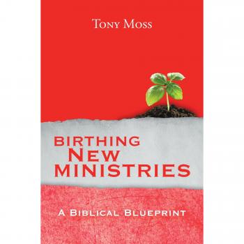 Birthing new ministries paperback