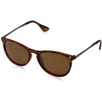 Óculos de Grau Montana MP24C Tortoiseshell Masculino
