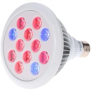 Luz Fotón Verde LED Tomshine 24W