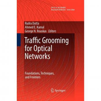 Traffic Grooming for Optical Networks