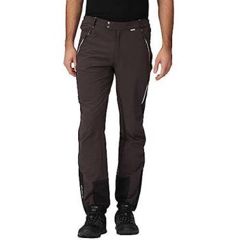 Regatta Mountain Pants Ash / Black 40 male