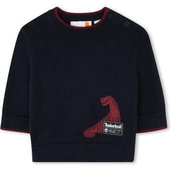 Pull en tricot bleu garçon 18M avec dinosaure Timberland