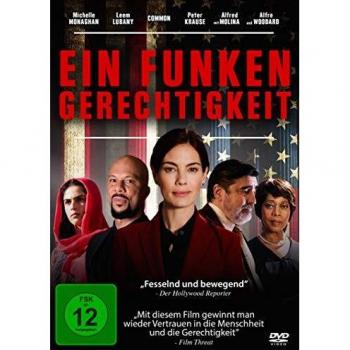 Sean Hanish Ein Funken Gerechtigkeit