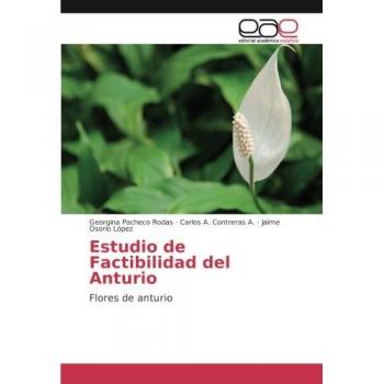 Pacheco Rodas, Georgina: Estudio de Factibilidad del Anturio