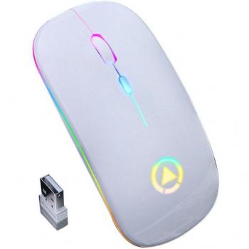 Silent LED Backlit Wireless Gaming Mouse
