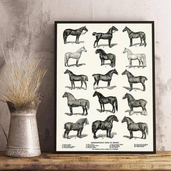 Equestrian Horse Art Poster