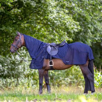 BUSSE FLEXI FLY III Fliegendecke