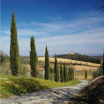 Filtro Polarizzatore Circolare Slim 62mm Walimex Pro