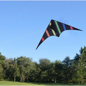 Cometa Voladora Triangular y Línea de Mango