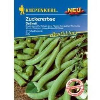 Pisello Mangiatutto Delikett Kiepenkerl - Semi di Alta Qualità