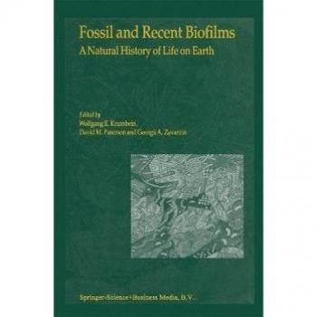 Fossil and Recent Biofilms