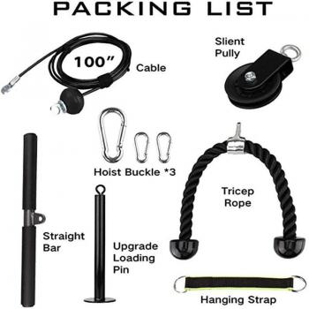 European and American Muscle Building Tools