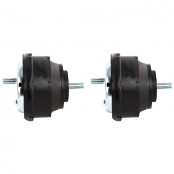 Motor RIDEX 247E0974 com Suporte