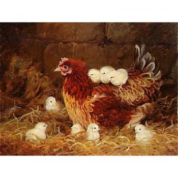 Vollständige Runde Diamant Stickerei Huhn