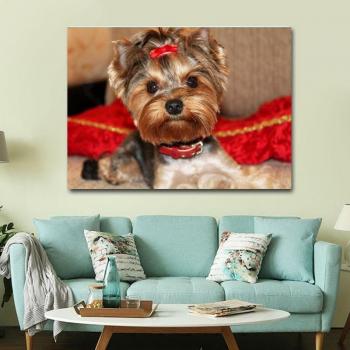 Rhinestone Yorkshire Terrier Painting Set – 20x30cm