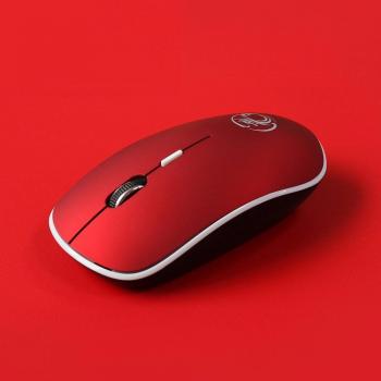Wireless Computer Mouse 2.4GHz 1600 DPI USB Ergonomic Mini Silent