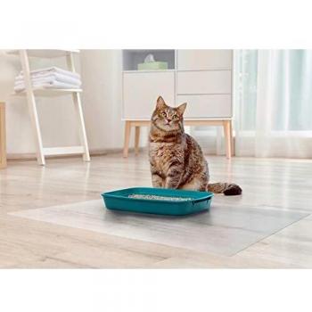 P-Tex Anti-Microbial Indoor Pet Mats 17x22 - Set of 2