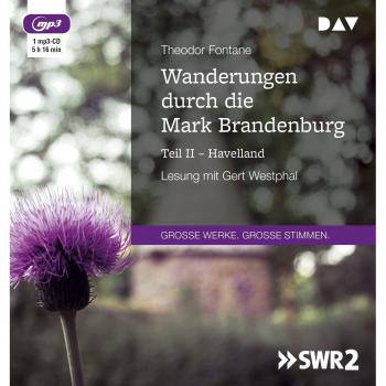 Wanderungen durch die Mark Brandenburg - Teil II