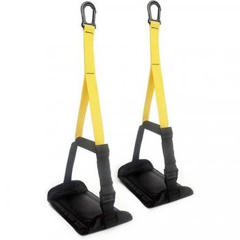 Ab Sling Straps with Handle